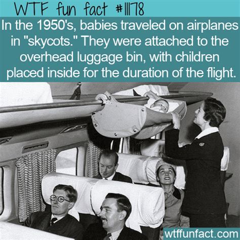 WTF Fun Fact - Skycots