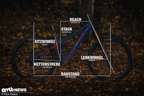 Foto Pivot Shuttle Sl Pro Mit Geometrieangaben In Rah