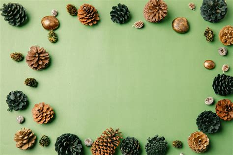 Various natural pine cones on green backgroundFree Stock Photo