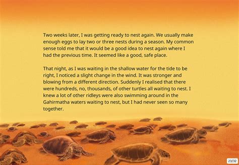 Turtle Story Conservation Stories For Kids Bedtime Stories