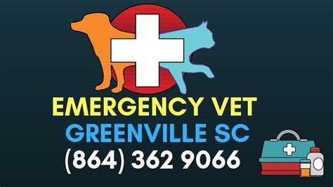 Animal Hospital Greenville Sc Emergency Vet Care Greenville Sc 864