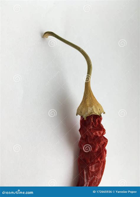 Long Wrinkled Red Hot Pepper Lying On A White Background Stock Photo Image Of Wallpaper