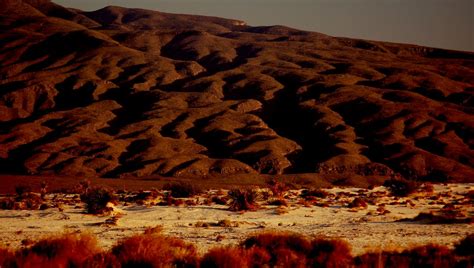 La Ruta del Desierto en Coahuila Un Tesoro Ecoturístico Las mejores