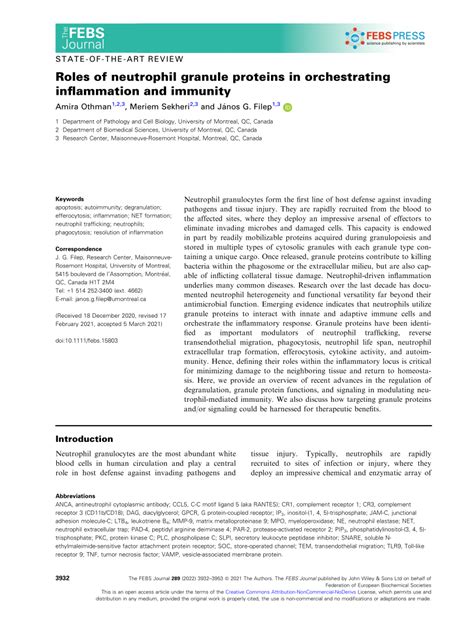 Pdf Roles Of Neutrophil Granule Proteins In Orchestrating