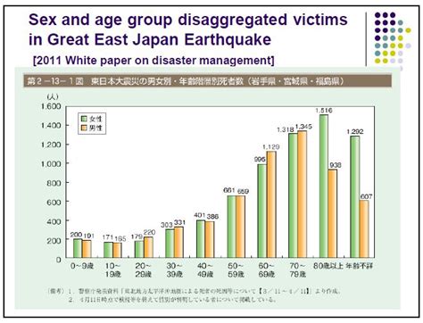 Japan Quake Took Toll On Women And Elderly Undrr