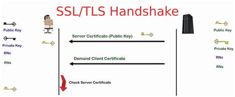 Tìm hiểu kiến thức cơ bản về SSL TLS Handshake BKHOST