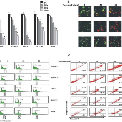 Schematic Representation Of Resveratrol Induced Apoptosis In DLBCL