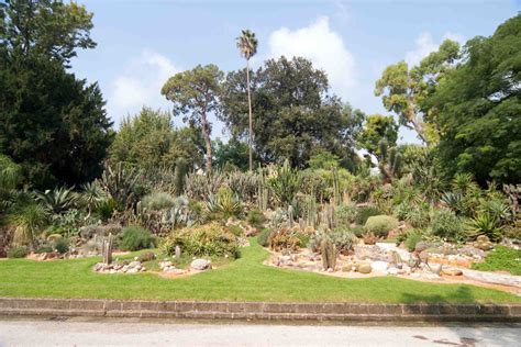 Passeggiate Virtuali Alla Scoperta Del Real Orto Botanico Di Napoli