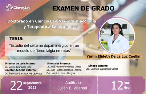 Examen Para La Obtenci N Del Grado De Doctorado De Yarim Elideth De La