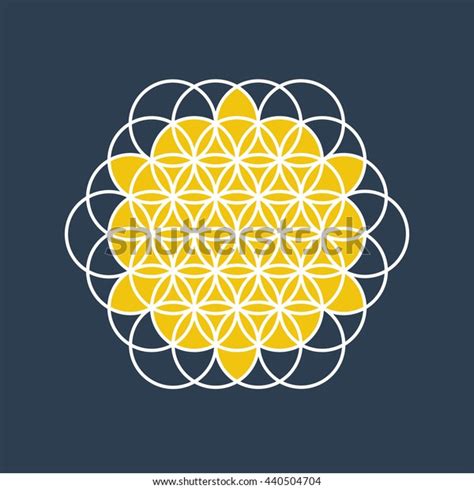 Colored Flower Life Sacred Geometry Vector Stock Vector Royalty Free 440504704 Shutterstock