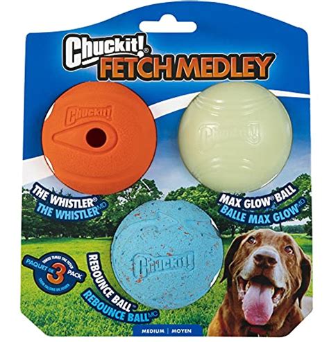 The Best Balls For Dogs - Dogtime