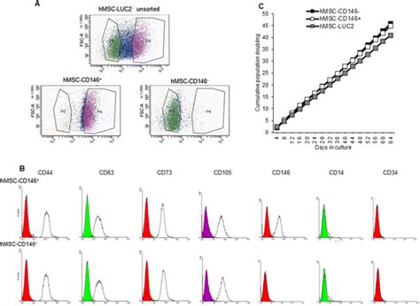 Flow Cytometric Cell Sorting And Cell Characterization A Details From