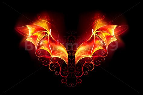 Fire Dragon Wings (144731) | Illustrations | Design Bundles