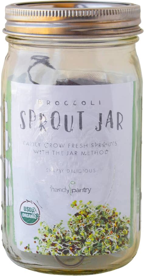 Organic Broccoli Sprout Growing Kit Includes 316