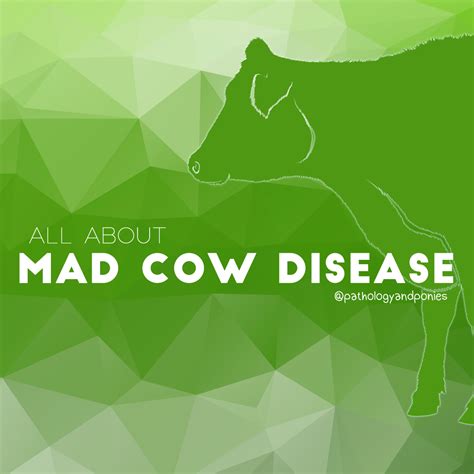 Mad Cow Disease - Pathology and Ponies