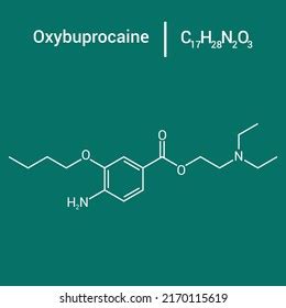 Nicotinamide Adenine Dinucleotide Oxidized Form Nad Stock Vector