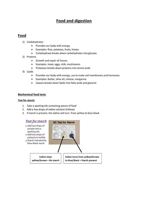Edexcel Igcse Biology Notes Of Food And Digestion Biology Higher Gcse Edexcel Thinkswap