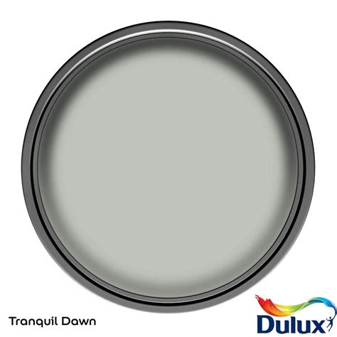 Dulux Easycare Washable Tough Matt Paint Tranquil Dawn L Homebase