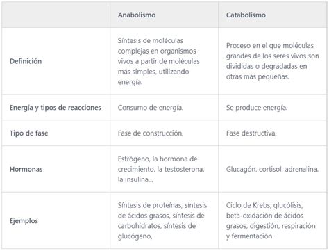 Cuadro Comparativo Entre Catabolismo Criterios Y Anabolismo