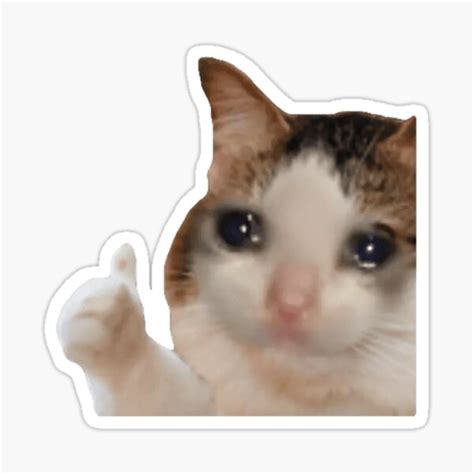 Pegatina «Meme gato» de sticker-house | Redbubble