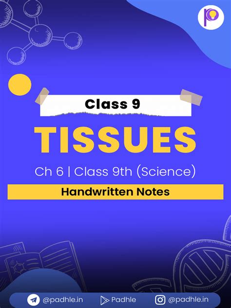 Tissues Class 9 Hand Written Notes By Padhle Pdf