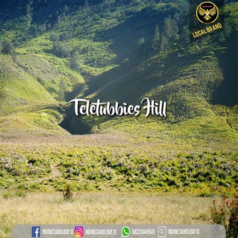 Teletubbies Hill Bromo Indonesia Tour Package Specialist Indonesia