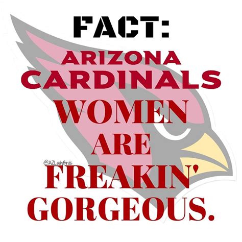 Arizona Cardinals Meme 2016 Birdgang Azladybirds Arizona Ladybirds