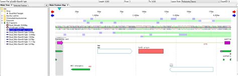 In Silico Biology Com Imc F06f Draw A Plasmid Map With Restriction Enzyme Fragments Inserted