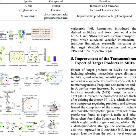 Transporter Applications In Microbial Cell Factories Download