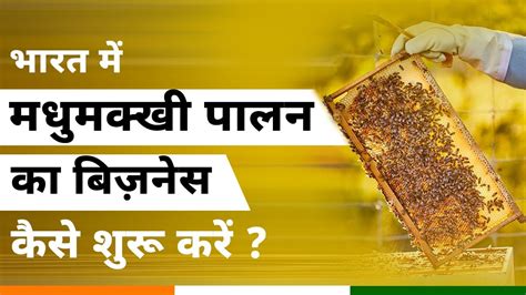 Honey Beekeeping Business Plan In Hindi How To Start A Beekeeping