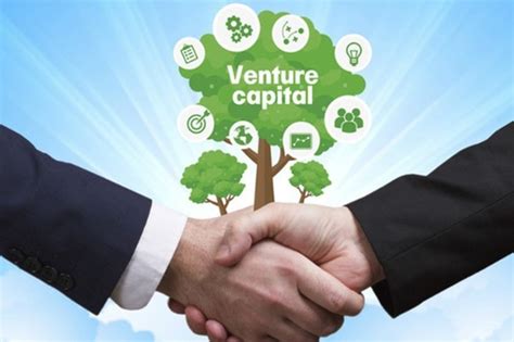 Venture Capital là gì TOP 6 quỹ đầu tư mạo hiểm tại Việt Nam Stock24h