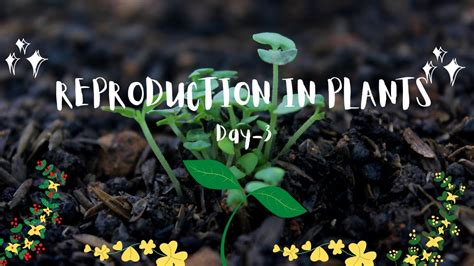 Reproduction In Plants Class 7 Science Ncert Fun With Science