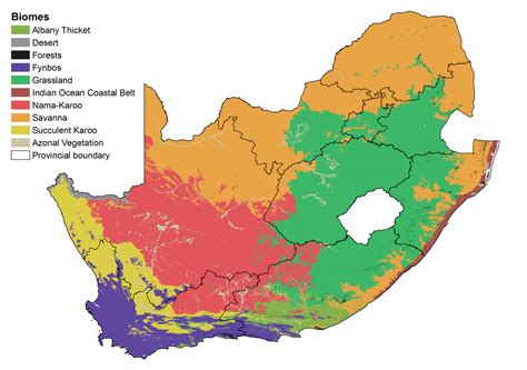 Africa Biome Map