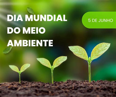 Dia Mundial Do Meio Ambiente Imagens Frases E Mensagens