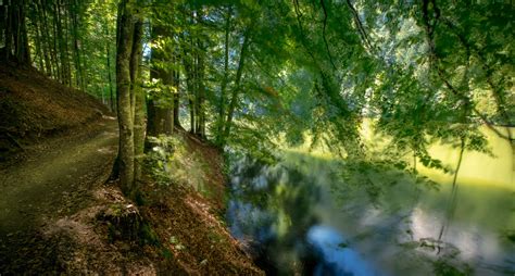 Hintergrundbilder Grün Natur Wasser Bäume 2543x1366