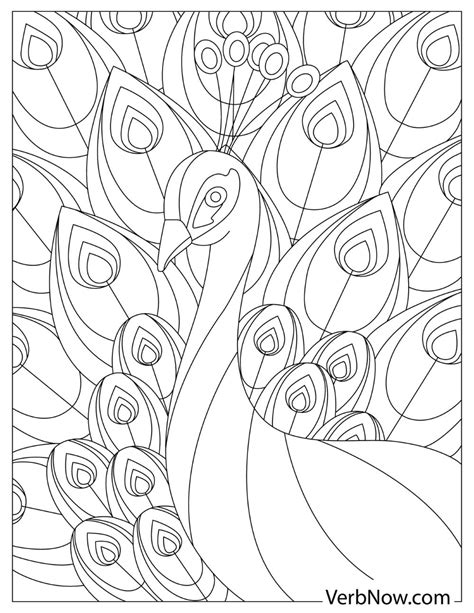 Free Peacock Coloring Pages For Download Printable Pdf Verbnow