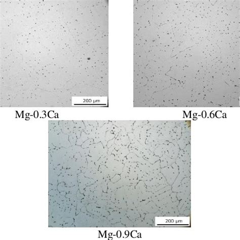 OPTICAL MICROSTRUCTURES OF AS CAST MG CA ALLOYS THE INCREASE IN