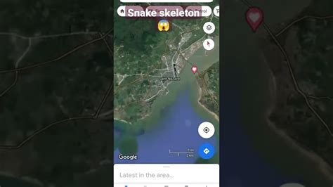 Biggest Snake Skeleton In Google Map Shorts Googlemap Youtube