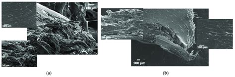 SEM Images Of The Fracture Surfaces Of A SCB PE 2 5 GNPs No BM And