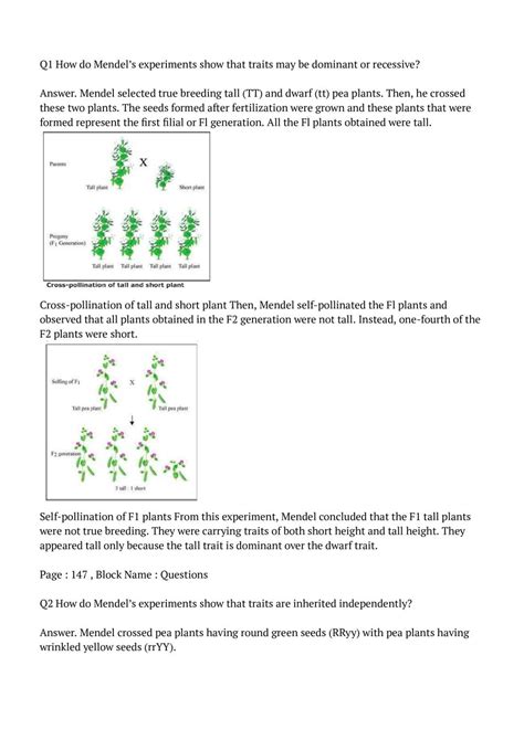 NCERT Solutions For Class 10 Science Chapter 9 Heredity And Evolution