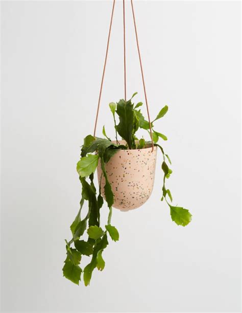 8 Best Stylish Indoor Hanging Planters 2023 Apartment Therapy