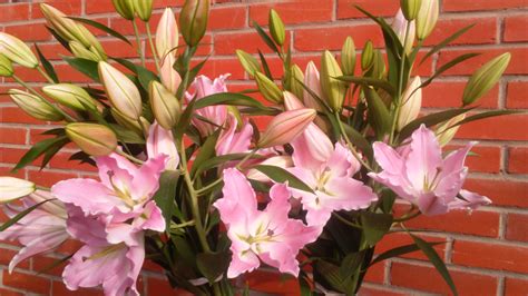 Букет к празднику – МРГ-Онлайн