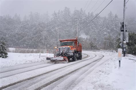 How Much Snow Forcast For Todaycentennial Online Emergencydentistry