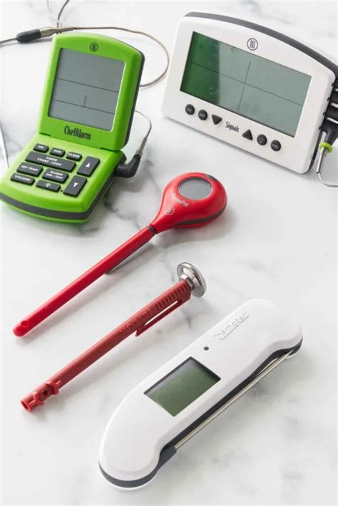 How to Use a Meat Thermometer for Perfect Cooking - Savor the Best