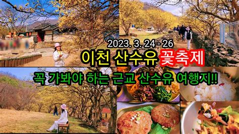 이천 산수유꽃축제 2023 꼭 가봐야 하는 수도권 근교 이천 산수유마을 Youtube