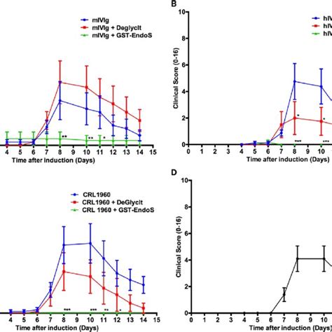 Analysis Of Endo β N Acetylglucosaminidase Endos Effects In Vivo