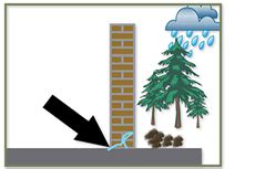 Damp Control Maintech Works Limited