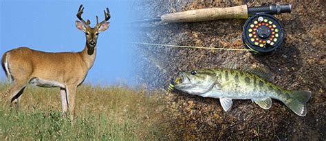 hunting  fishing licenses georgia department  veterans service