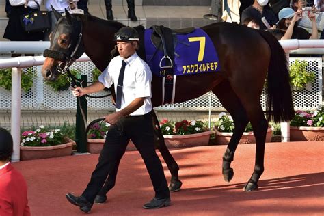 【中日新聞杯（g3）展望】超大物プログノーシス登場！主戦・川田将雅なら4戦4勝 Gj