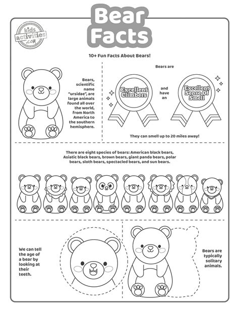 Fascinating Bear Facts For Kids Kids Activities Blog